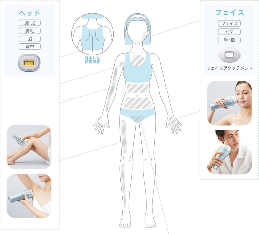 使用回数10回程度/美品 レイボーテヴィーナス 品質検査済 giordano.ge